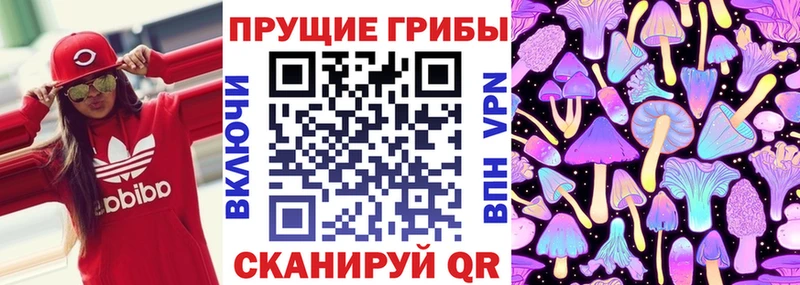 Псилоцибиновые грибы ЛСД Северобайкальск