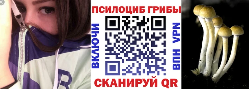 Псилоцибиновые грибы GOLDEN TEACHER купить наркотик Северобайкальск
